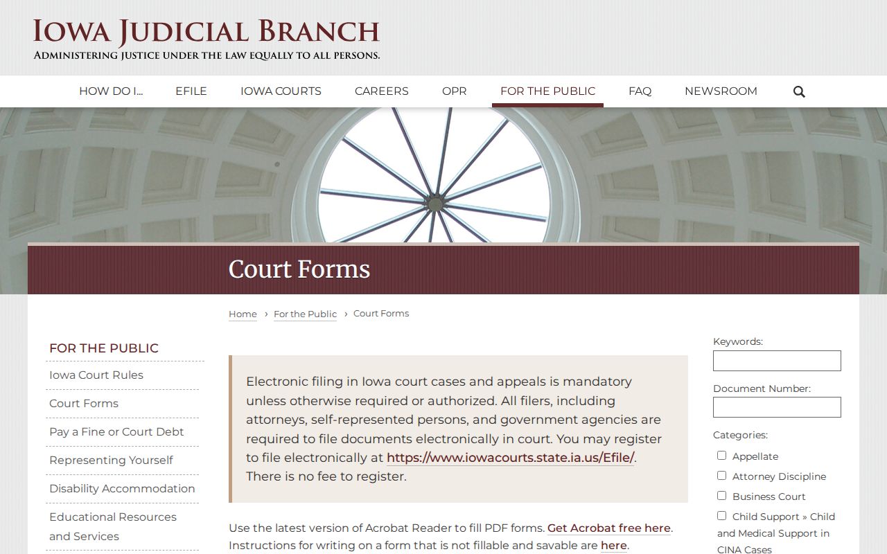 Iowa Judicial Branch court forms page with expungement resources